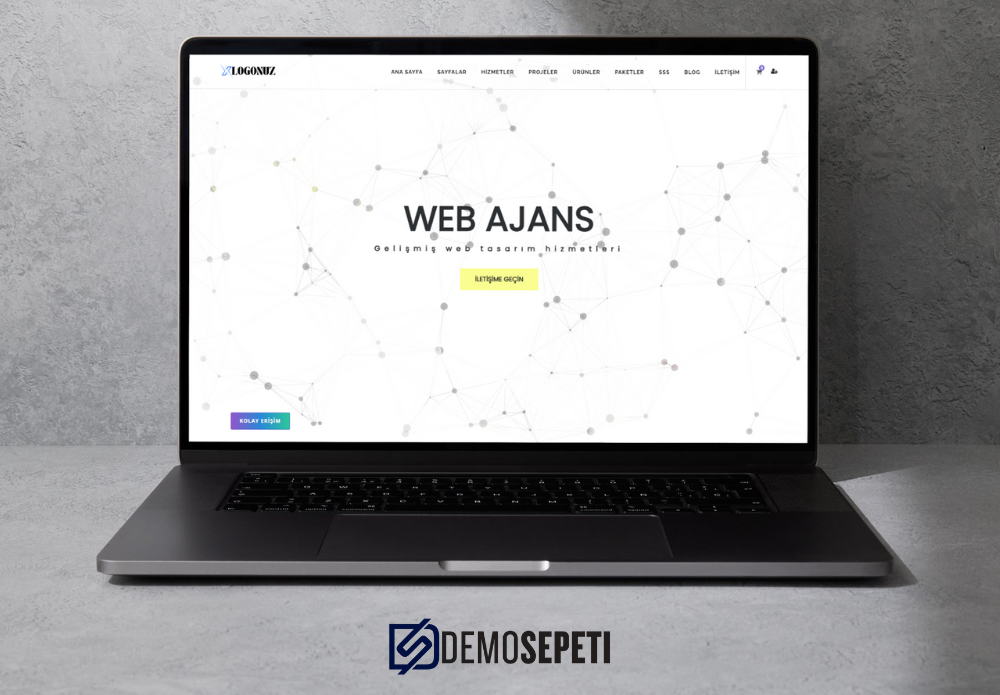 Web Ajans Scripti v1